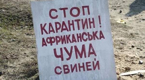 Карантин через спалах АЧС на Одещині 2
