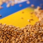 Український агроекспорт у серпні сягнув 1,4 млн тонн