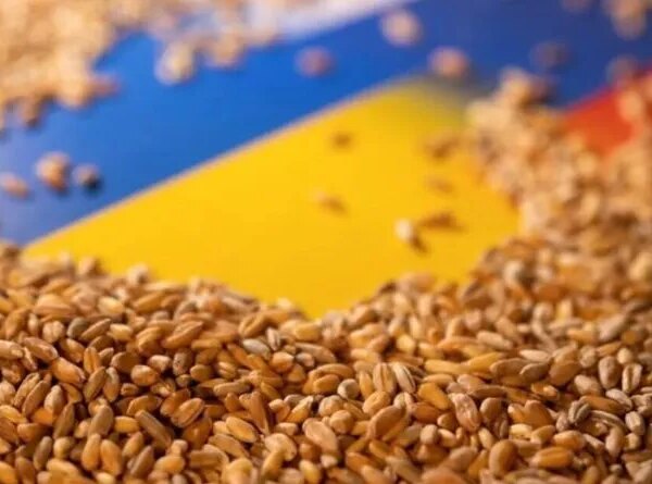 Український агроекспорт у серпні сягнув 1,4 млн тонн
