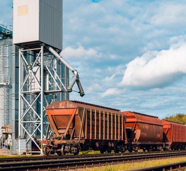 Зростання передачі зерна Україною через західні залізничні переходи у 2,3 разу