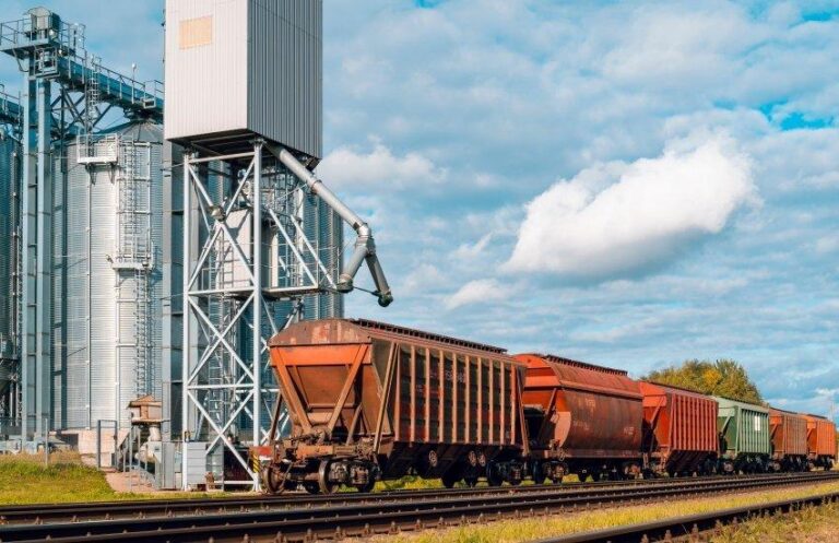 Зростання передачі зерна Україною через західні залізничні переходи у 2,3 разу 8 Зростання передачі зерна Україною через західні залізничні переходи у 2,3 разу 6