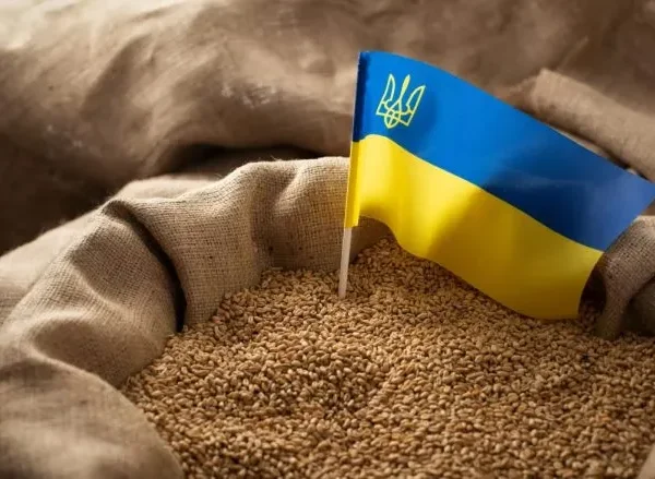 США допоможуть Україні розбудувати зерносховища