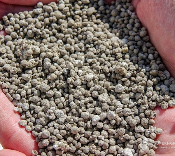 Дефіцит сечовини на глобальному ринку досяг 5,5 мільйона тонн