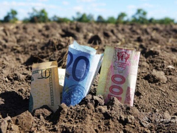 «Скіф» залучив 200 мільйонів гривень на посівну під майбутній урожай