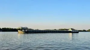 Демередж на Дунаї: ріст витрат через скупчення суден