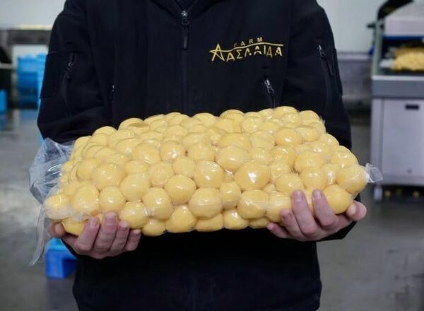 Українці обирають перероблену картоплю: зростає попит на фасовану продукцію
