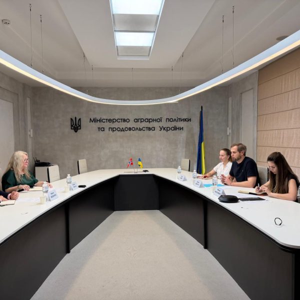 Україна може втратити зерносховища до листопада через атаки Росії — Агрополіт