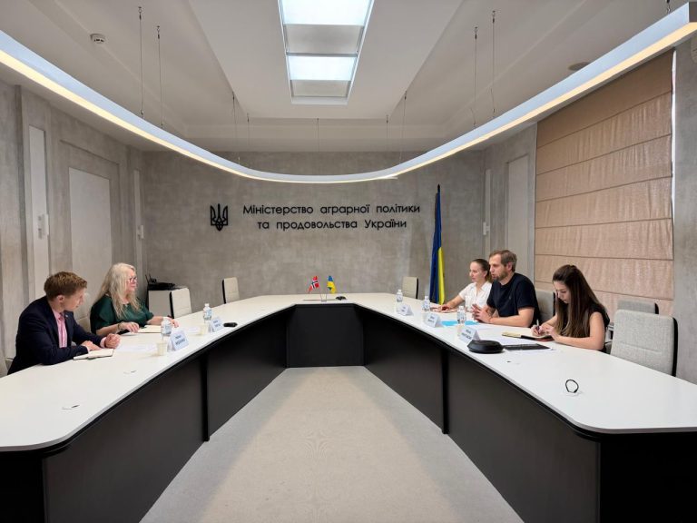 Україна може втратити зерносховища до листопада через атаки Росії — Агрополіт 2
