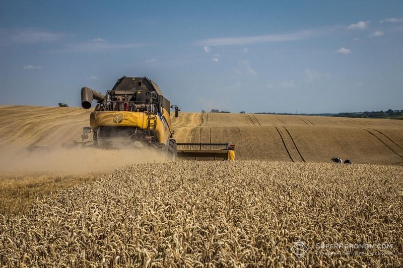 В Україні зібрано 22 мільйони тонн ранніх зернових 3 Жнива 2026 ранніх культур в Україні завершуються: скільки зібрано зерна за регіонами