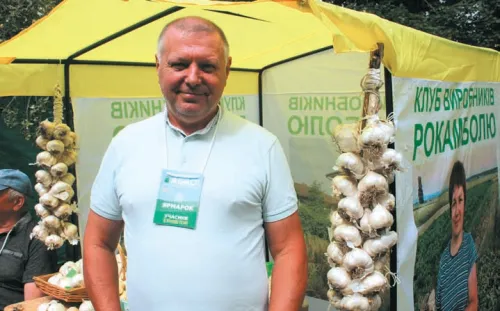 Рокамболь: українські аграрії опановують часниково-цибулевий екзот 7 Рокамболь: українські аграрії опановують часниково-цибулевий екзот 7