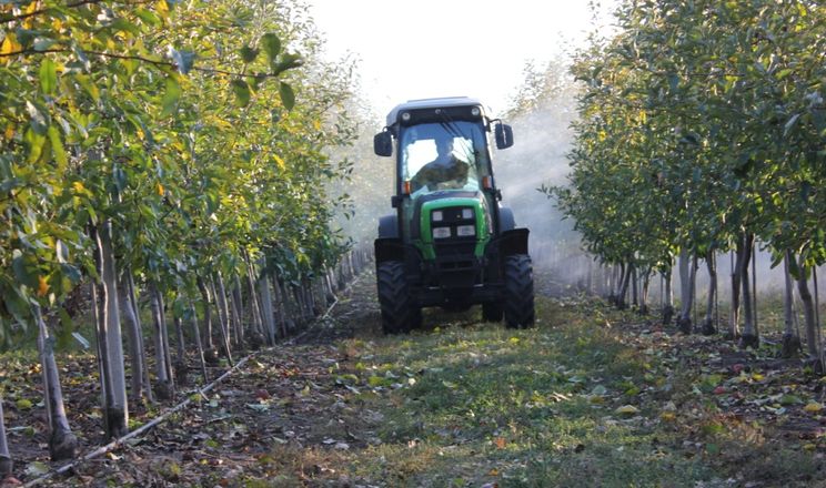 Захист садів на Вінниччині: дощі та гусінь створили нові виклики 2 Захист саду на Вінничині ускладнили тривалі дощі та рекордна кількість гусениць