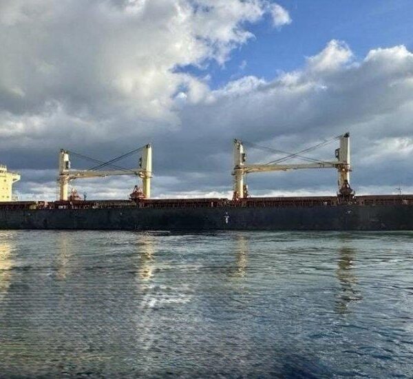 Призупинення морських поставок може обійтися аграрному сектору майже в 4 мільярди доларів — Українська аграрна конфедерація — АГРОПОЛІТ
