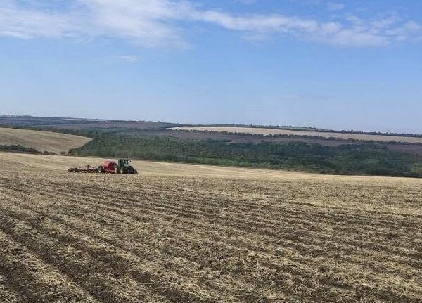 Tekom Agro Group розпочала сівбу озимого ріпаку з рекордними площами