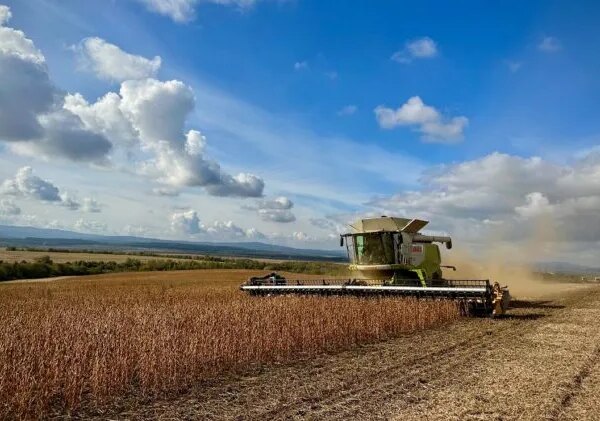 Аграрії зібрали 26 мільйонів тонн зернових