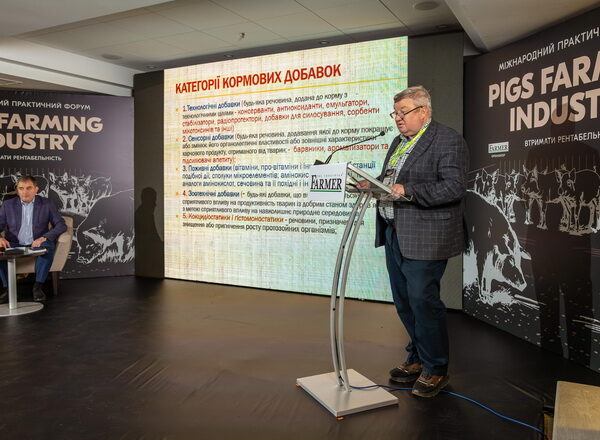 Pigs Farming Industry: фокус на ефективній годівлі свиней