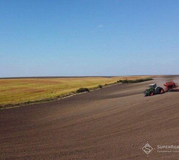 Скорочення посівних площ в Україні на 20% через експортні перешкоди