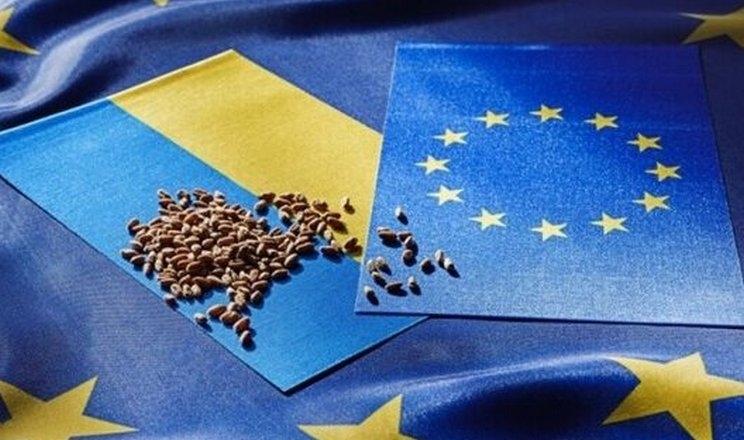 Українська пшениця програє конкуренцію в Європі 2 Українська пшениця втратила конкурентність на європейському ринку