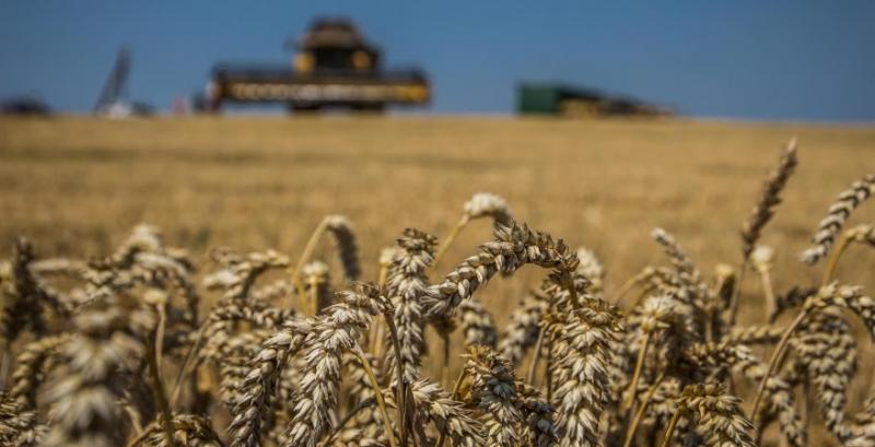 Світові ціни на зерно пшениці підскочили через спекулятивні угоди та напружену обстановку в Чорноморському&hellip;
