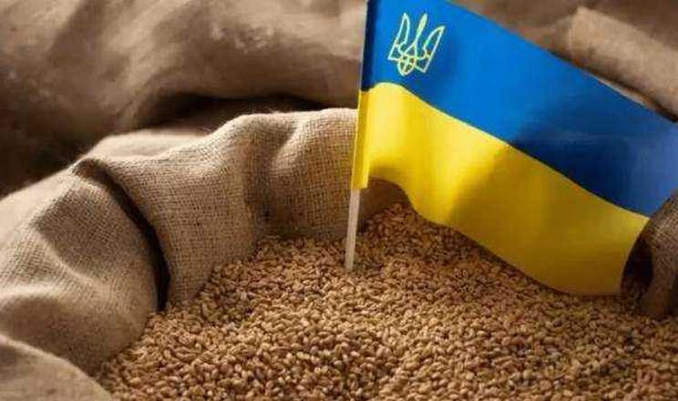 У серпні Україна експортувала близько третини потенційного обсягу агропродукції