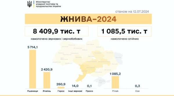 Як вивезти збіжжя з полів: виклики логістики нового сезону 1