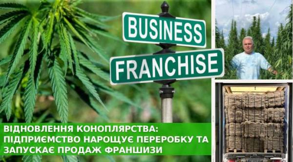Коноплі України: бізнес-модель переробки виходить на ринок франчайзингу