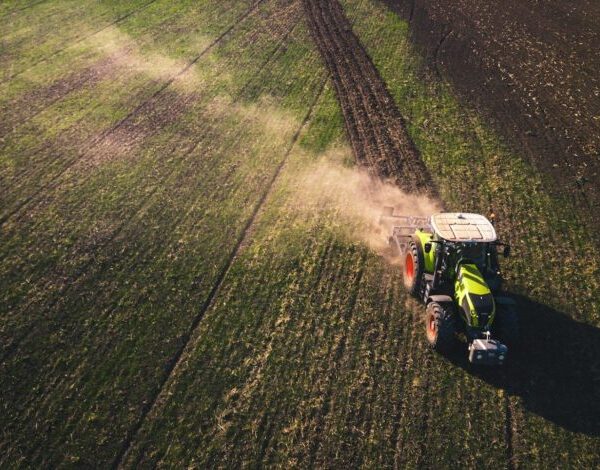 АМКУ оштрафував аграрні компанії на 4,7 мільйона гривень за змову при розмінуванні земель