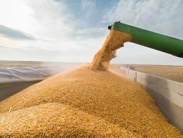 Експорт українського зерна: хто заповнює нішу на глобальних ринках