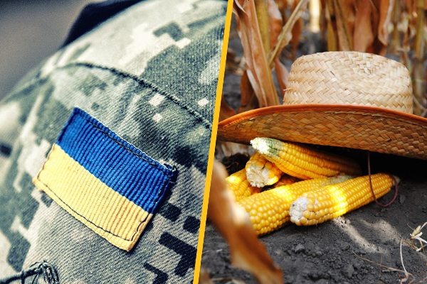 Криворізький ветеран вирощує овочі завдяки гранту 4 Криворізький ветеран вирощує овочі завдяки гранту 2