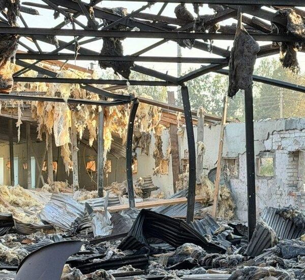 Російська атака знищила пташник на Чернігівщині: загинули понад 20 тисяч курей