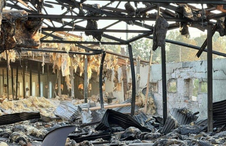 Російська атака знищила пташник на Чернігівщині: загинули понад 20 тисяч курей 1