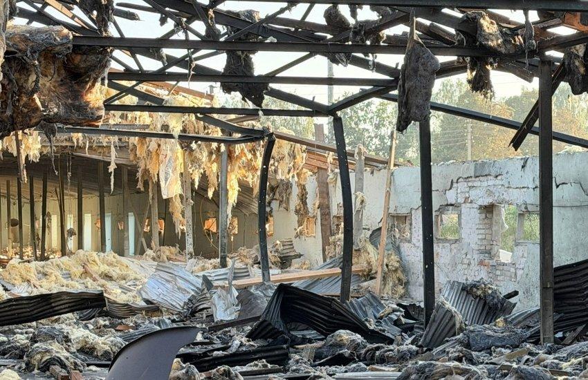 На момент атаки птиця перебувала на 35-му тижні вирощування