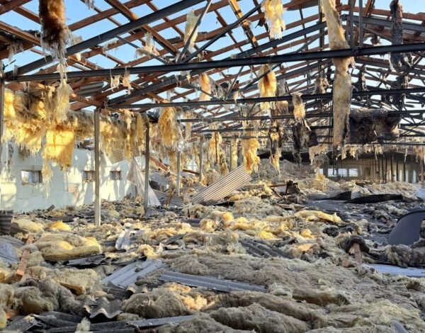 Російський обстріл знищив пташник на Чернігівщині, загинули понад 20 000 птиці