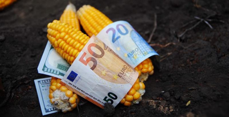 Україна скоригувала порядок визначення мінімальних експортних цін на зернові та олійні культури