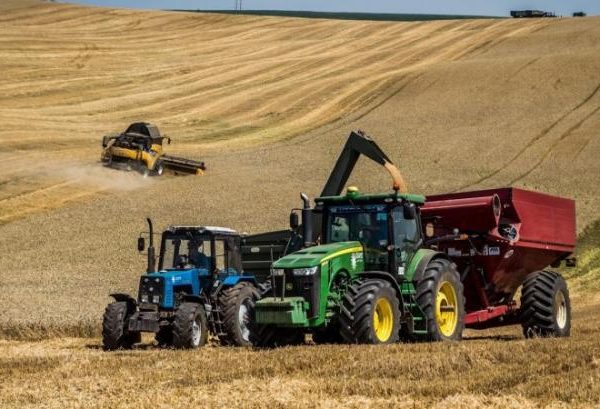 Пшениця на Львівщині втрачає в ціні: 7–7,5 тис. грн за тонну