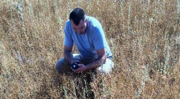 Льон олійний: південні господарства прогнозують 1,5 т/га у 2026 році 7 Льон олійний: південні господарства прогнозують 1,5 т/га у 2026 році 5