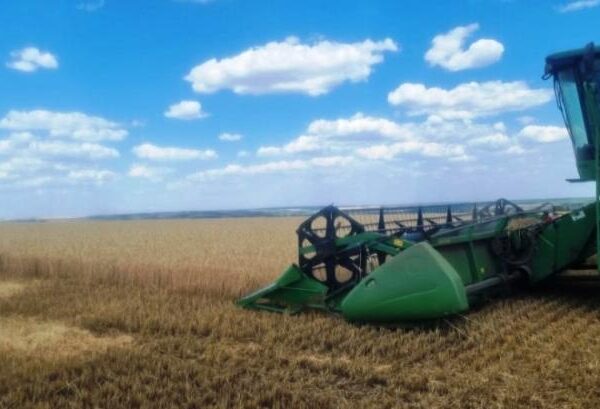 На Донеччині, незважаючи на обстріли, зібрано 60% ранніх зернових — KURKUL