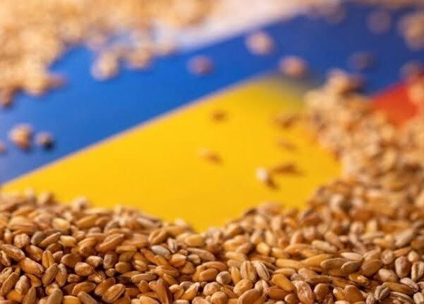 Агроекспорт України в серпні: прогнозоване триразове падіння пояснили експерти