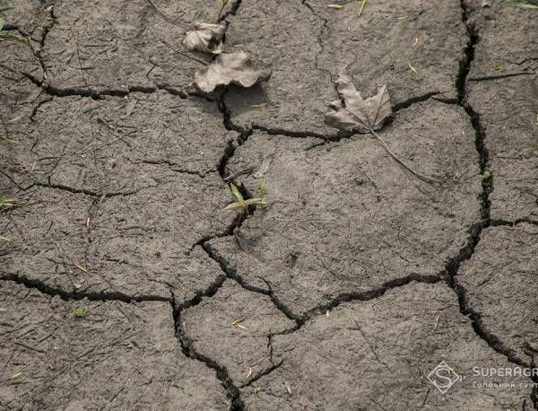 Загроза висихання річок на Півдні та Сході України посилюється