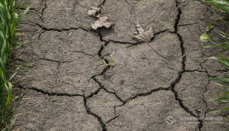 Загроза висихання річок на Півдні та Сході України посилюється 3