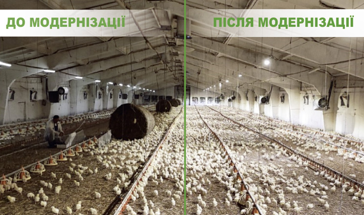 Сонячна енергія освітлює агросектор: нові можливості для господарств 1