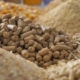 ХІІ сесія International School of Feed: продуктивне кормовиробництво під прицілом 22