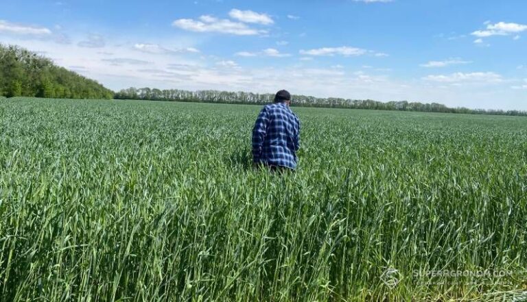 Зниження порогу бронювання: аграріїв чекають нові правила 6 Зниження порогу бронювання: аграріїв чекають нові правила 5