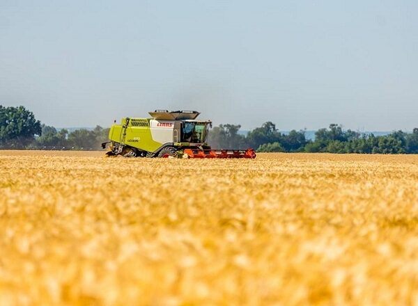 Україну охопить до +37°С: дощ локально на заході