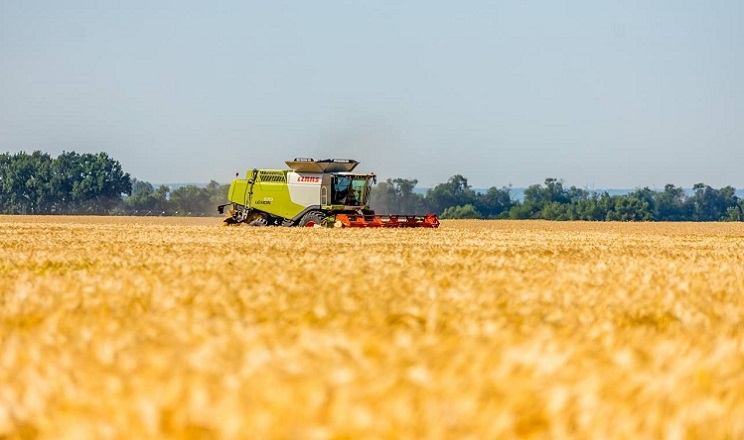 Україну охопить до +37°С: дощ локально на заході 2 Погода в Україні: сильна спека до 37°С, дощ можливий лише в західних областях