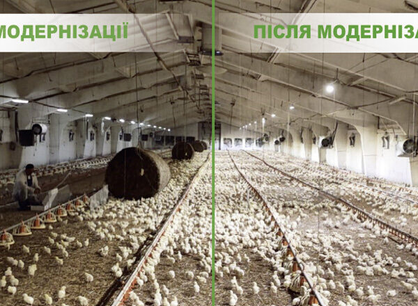 Висока якість посіву – запорука щедрого врожаю