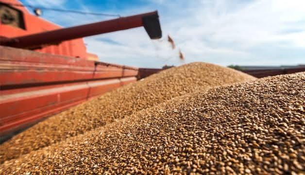 Польща заблокувала українське зерно: експорт агропродукції скоротився на 69% 2 Наявна інфраструктура дозволяє Польщі перевалювати до 600 тис. тонн української продукції