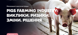 Гуртівці знижують ціни на кавуни 4 Міжнародний практичний форум «PIGS FARMING INDUSTRY: Виклики. Ризики. Зміни. Рішення»