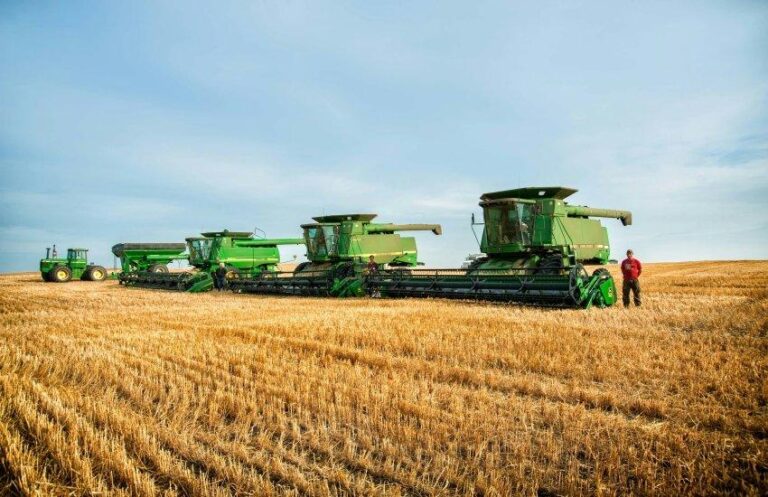 Посилена підтримка аграріїв: кредити під 10% до 150 млн грн 4