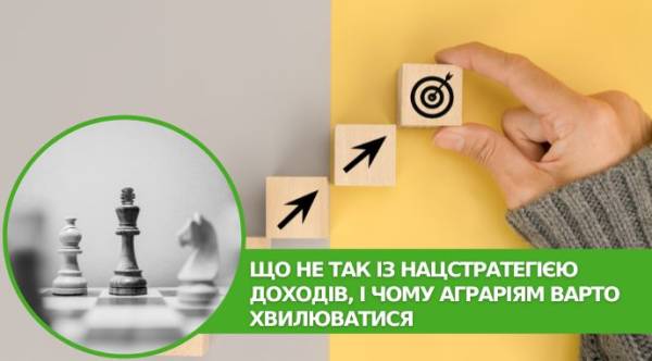 Аграріїв турбує Нацстратегія доходів: що саме не так