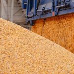Аграрії України зазнають збитків через проблеми з портами, а альтернативні&hellip;